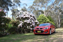 Holden SV6