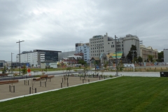 P1050126_B