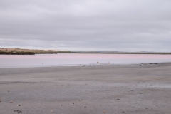 DSC_0480_B