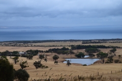 DSC_0549_B