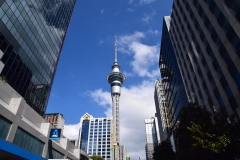 DSC_0244_B