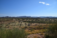 Finke Two Mile