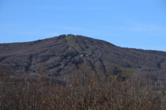 DSC_1034