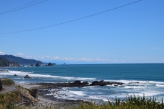 DSC_0721_B