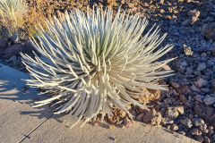20230910_064131