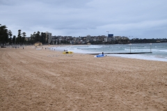 DSC_0473_B