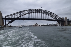 DSC_0554_B