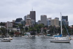 DSC_0559_B